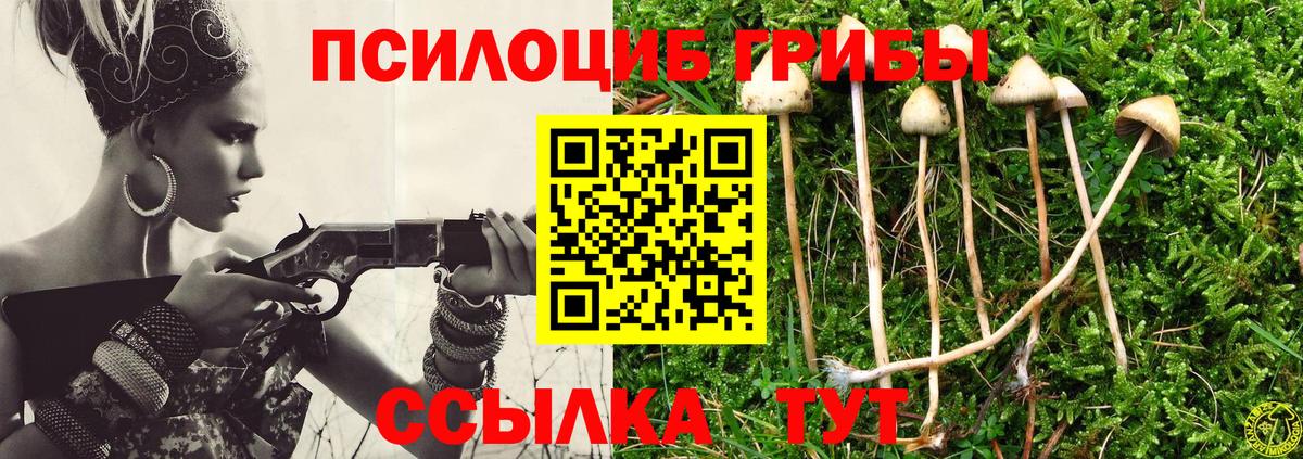 Псилоцибиновые грибы Psilocybine cubensis Ирбит