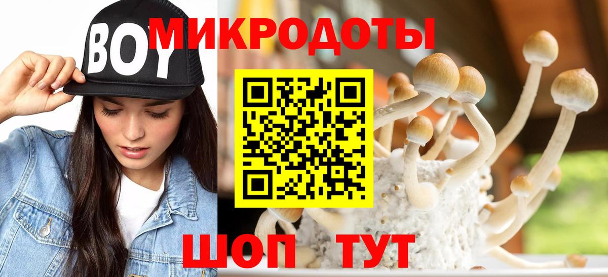 Галлюциногенные грибы Psilocybe  закладки  Ирбит  Вход с VPN 